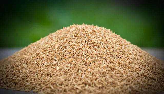 技术研究：检查要点适用情况分析